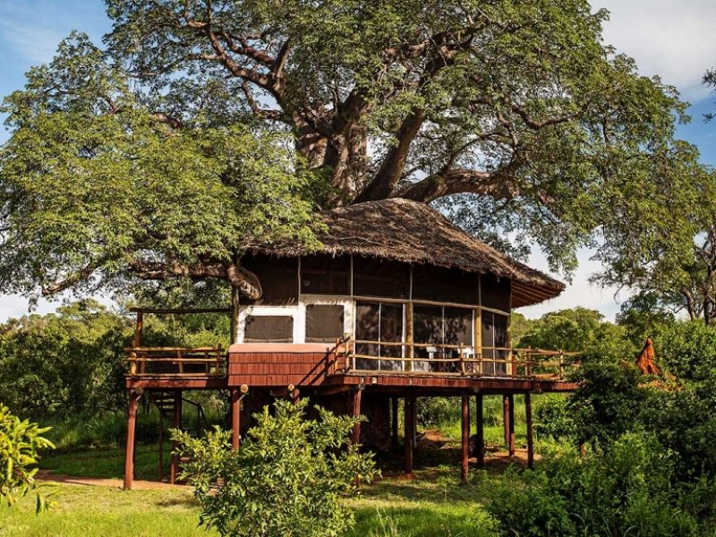 Safari na Tanzânia