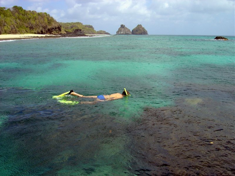 Fernando de Noronha Flex