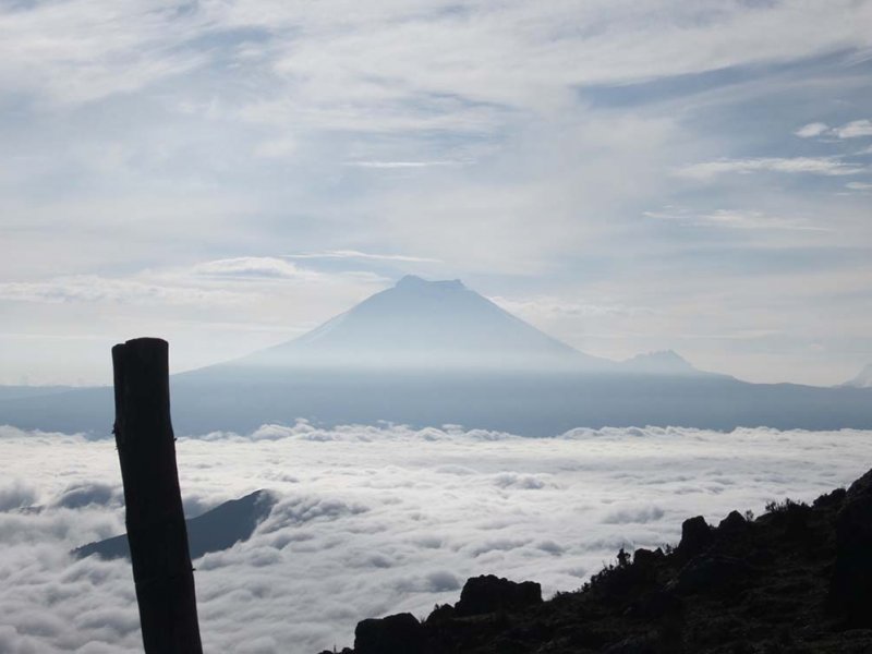 Cotopaxi
