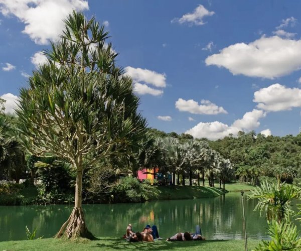 Belo Horizonte e Inhotim