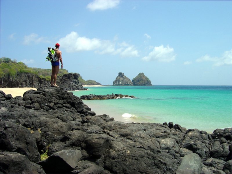 Fernando de Noronha Flex 
