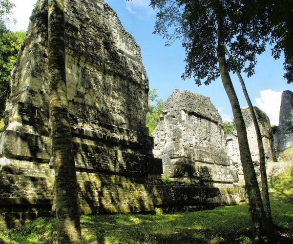 Tikal - Guatemala