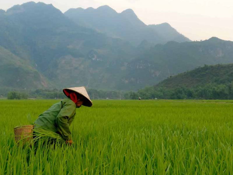 Indochina