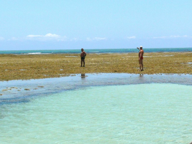 Ilha de Boipeba Completo