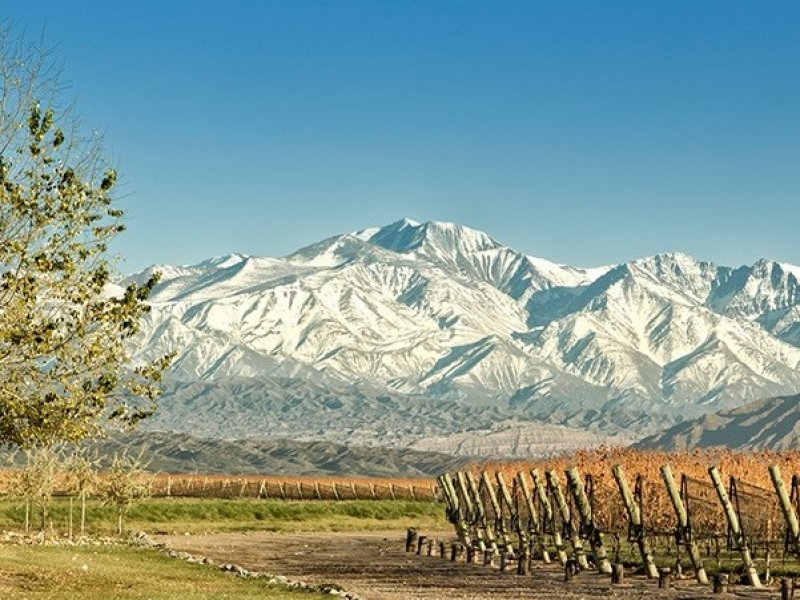 Mendoza