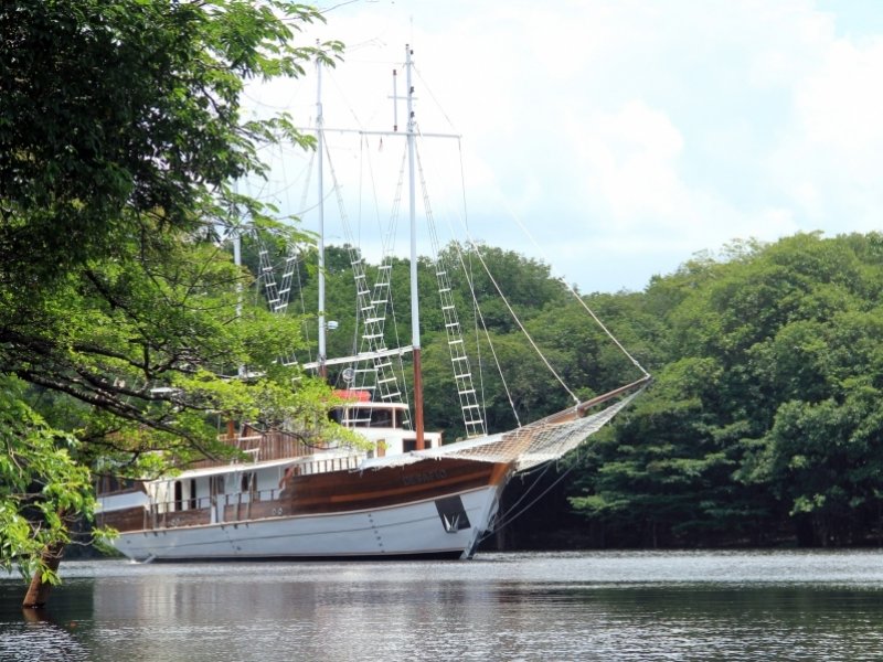 Amazônia - Navegação pelo Rio Negro - MV Desafio