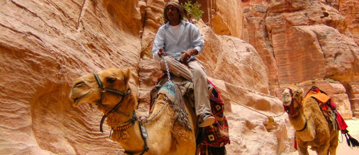 Viagem para Jordânia - Camelos Jordania
