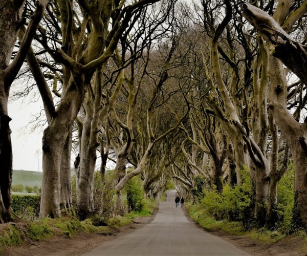 Tesouros da Irlanda e Irlanda do Norte