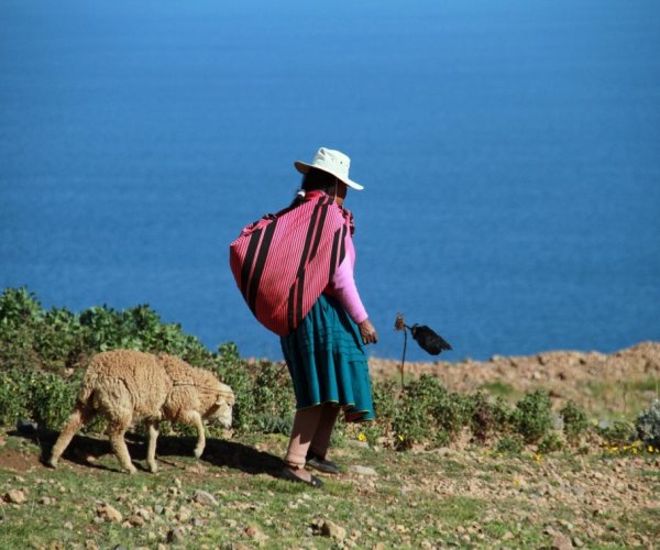Machu Picchu e Lago Titicaca Express