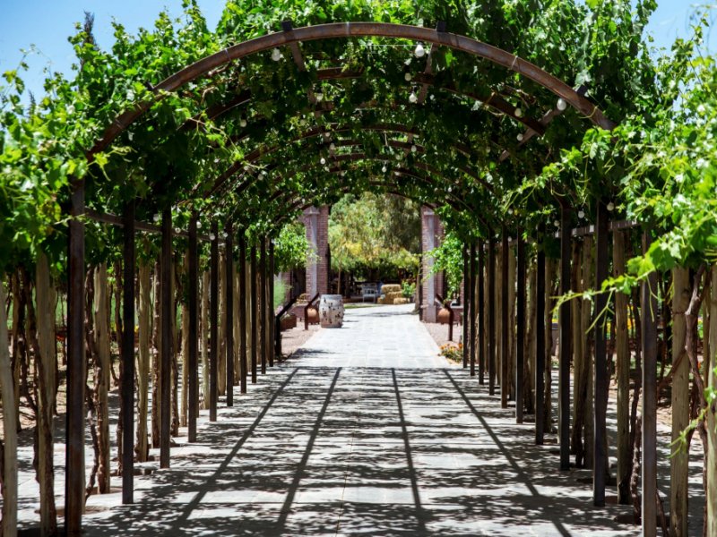 Mendoza
