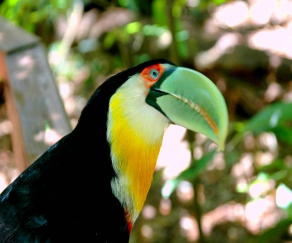 Foz do Iguaçu