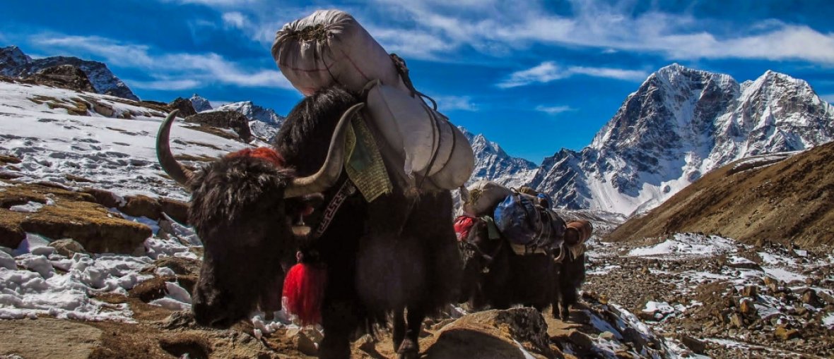 Trekking no Everest - Trekking Everest View2