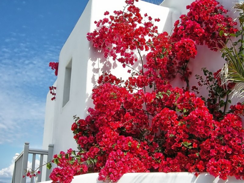 Grécia - Atenas, Ilhas de Santorini e Mykonos Express