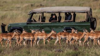 Pacotes de Viagem para Safari na Tanzânia