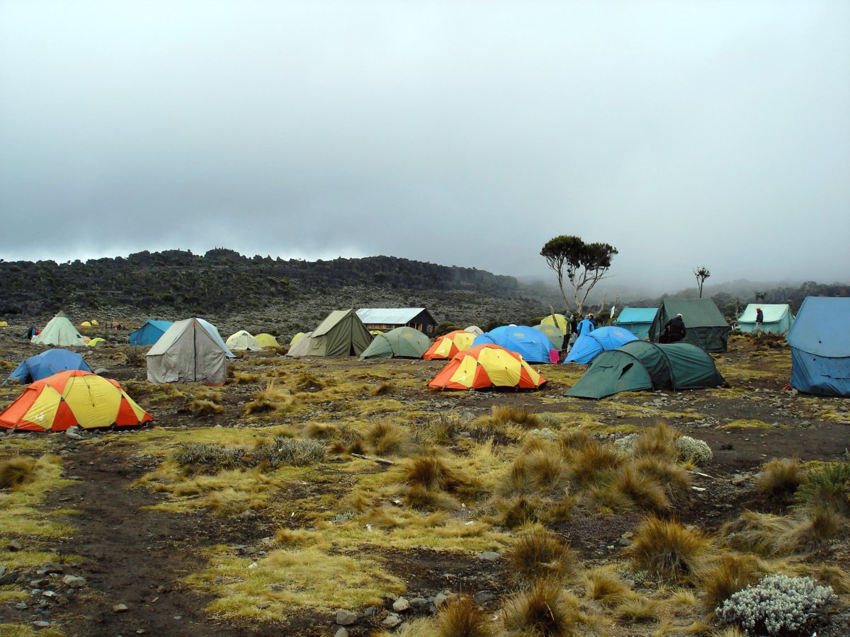 Pacotes de Viagem para a Expedição Kilimanjaro na Tanzânia