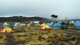 Pacotes de Viagem para a Expedição Kilimanjaro na Tanzânia