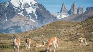 Pacotes de Viagem para Patagônia Chilena Torres del Paine