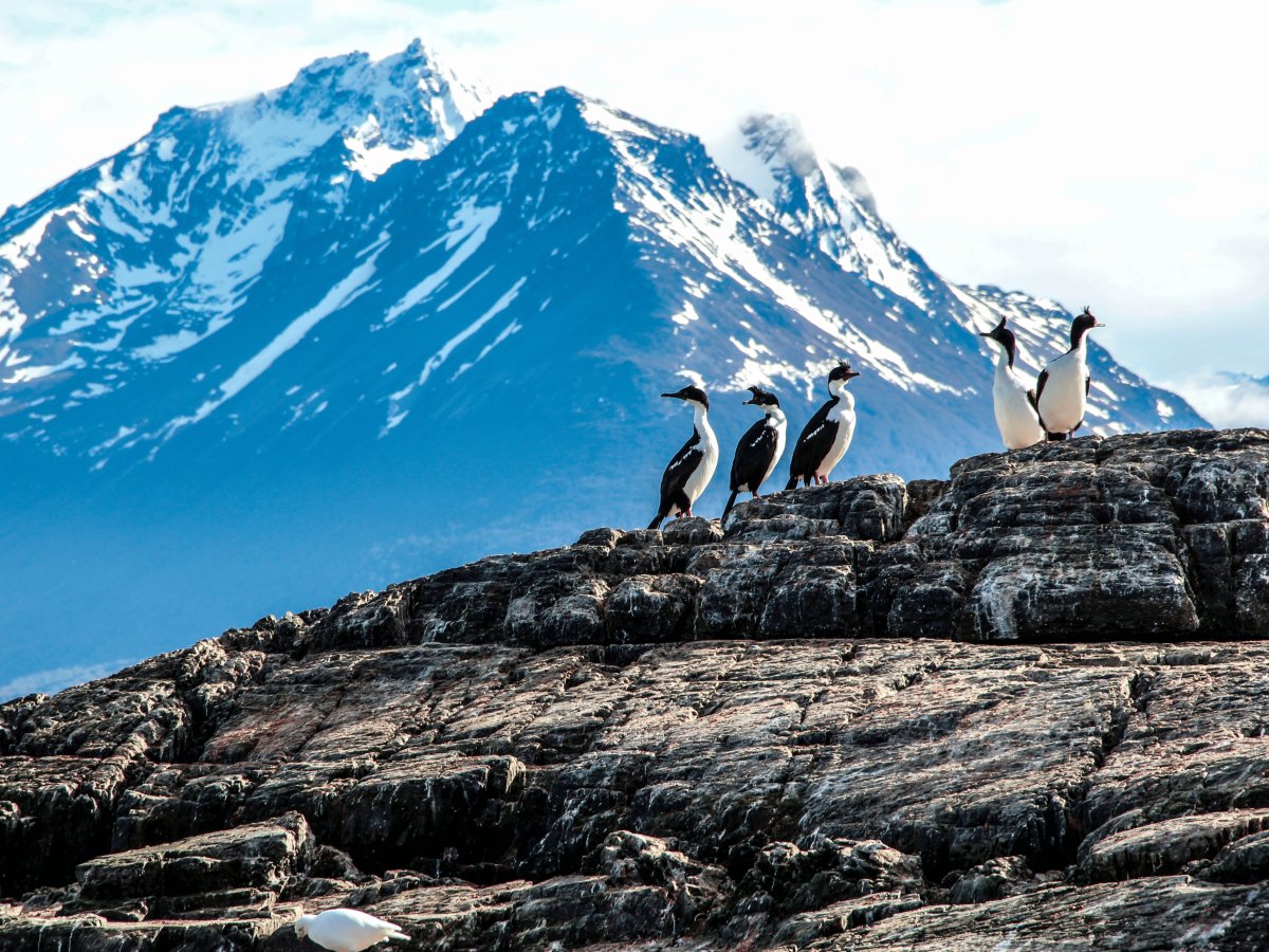 Pacotes de Viagem para Patagônia Argentina Ushuaia