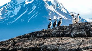 Pacotes de Viagem para Patagônia Argentina Ushuaia