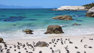 Pacotes de Viagem para África do Sul