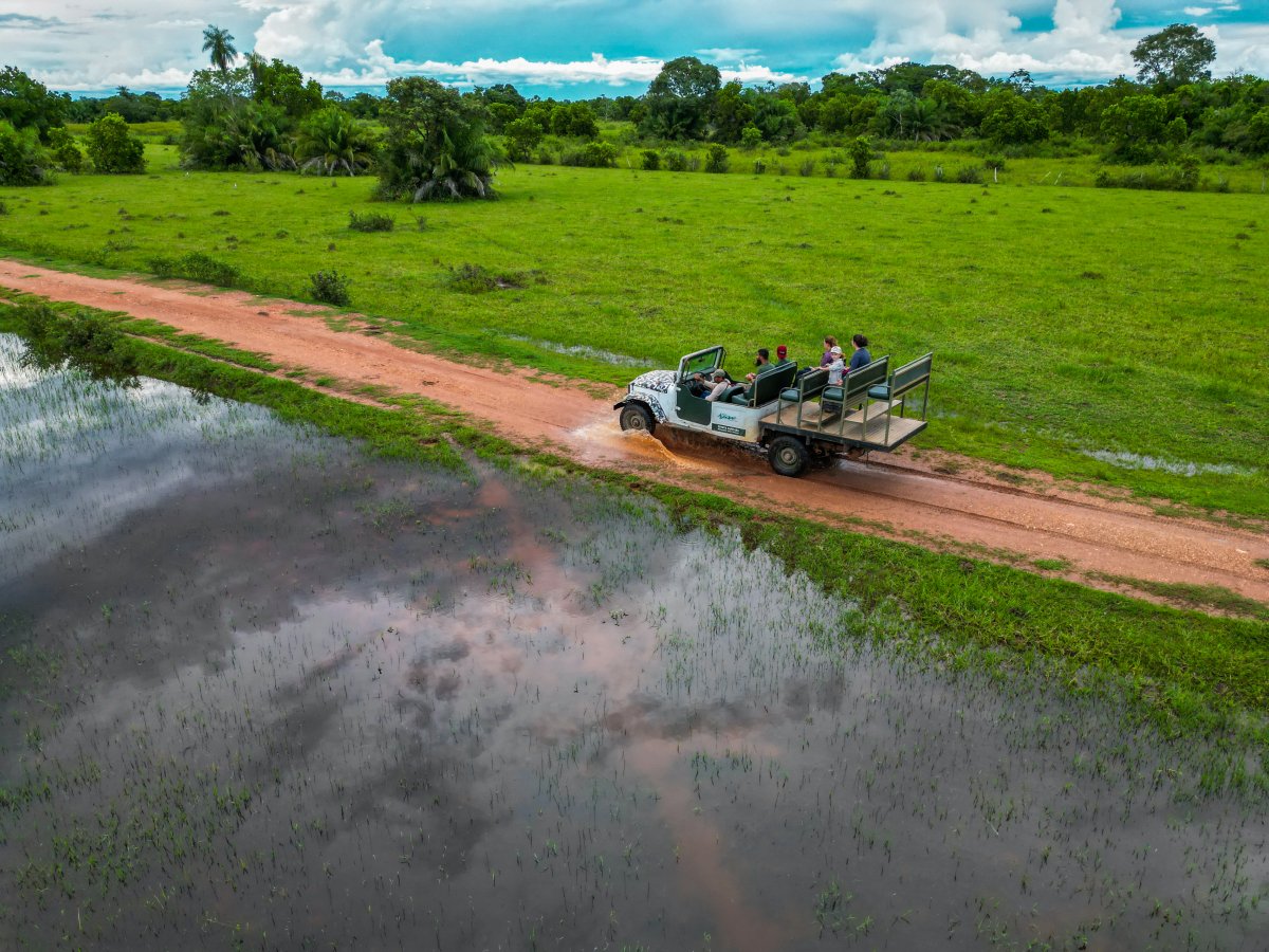 Pacotes de Viagem para o Pantanal na Pousada Aguapé