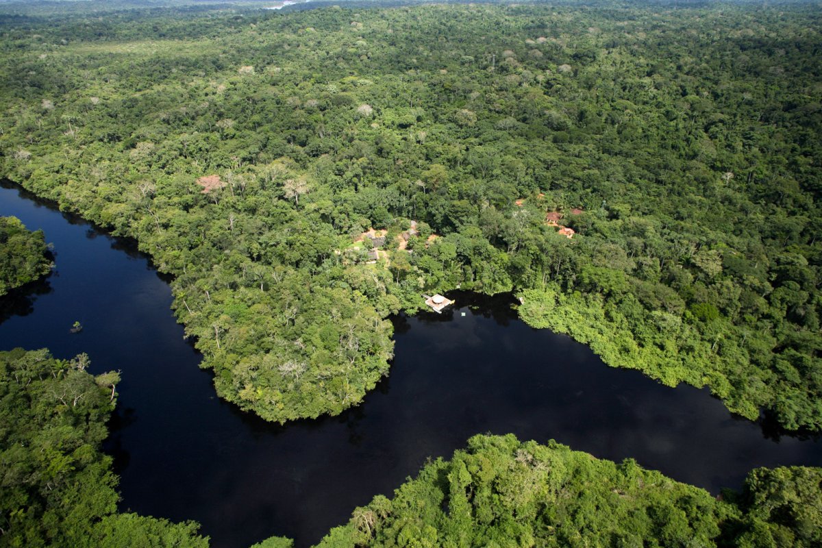 Pacotes de Viagem para o Amazônia no Cristalino Jungle Lodge