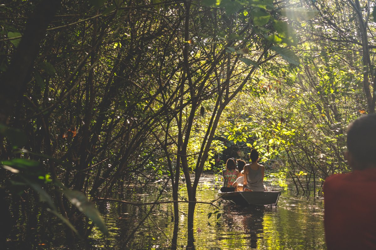 Pacote de Viagem para Amazônia com Vivência Ribeirinha no Baixo Rio Negro