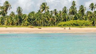Pacotes de Viagem para São Miguel dos Milagres Alagoas