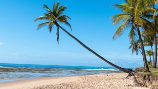 Pacotes de Viagem para a Ilha de Boipeba Bahia