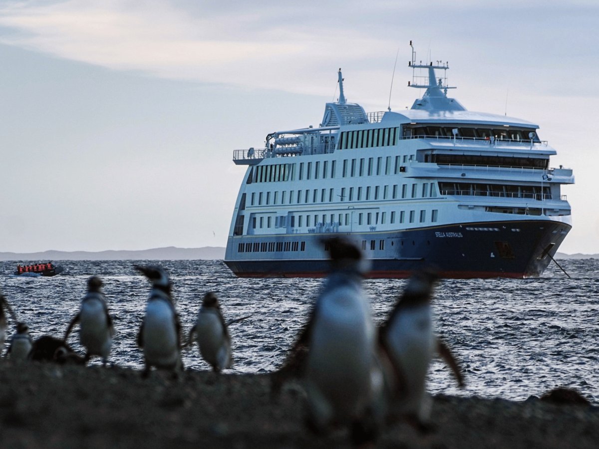 Pacotes de Viagem para Cruzeiro Australis Patagônia Argentina