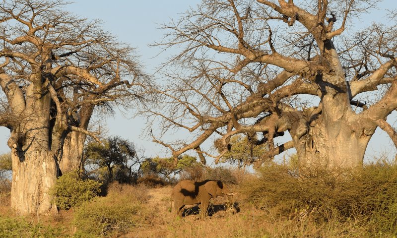 África do Sul