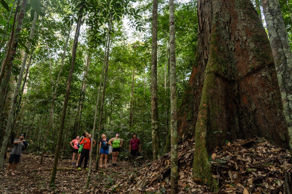 Pacote de Viagem para Amazônia com Vivência Ribeirinha no Baixo Rio Negro