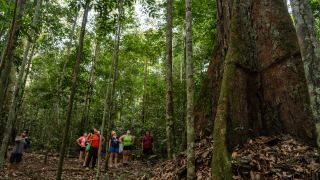 Pacote de Viagem para Amazônia com Vivência Ribeirinha no Baixo Rio Negro