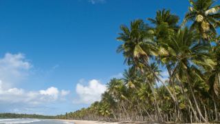 Pacotes de Viagem para a Ilha de Boipeba Bahia