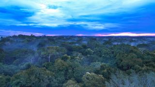Pacotes de Viagem para o Amazônia no Cristalino Jungle Lodge