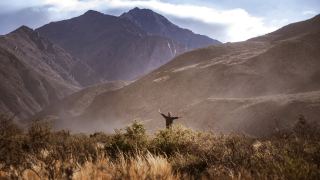 Pacotes de Viagem para Mendoza
