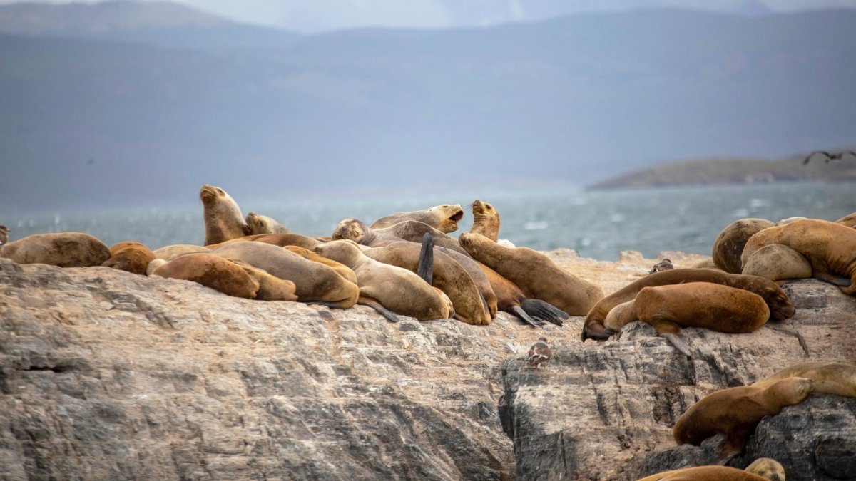 Pacotes de Viagem para Patagônia Argentina Ushuaia