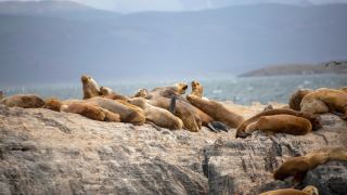 Pacotes de Viagem para Patagônia Argentina Ushuaia