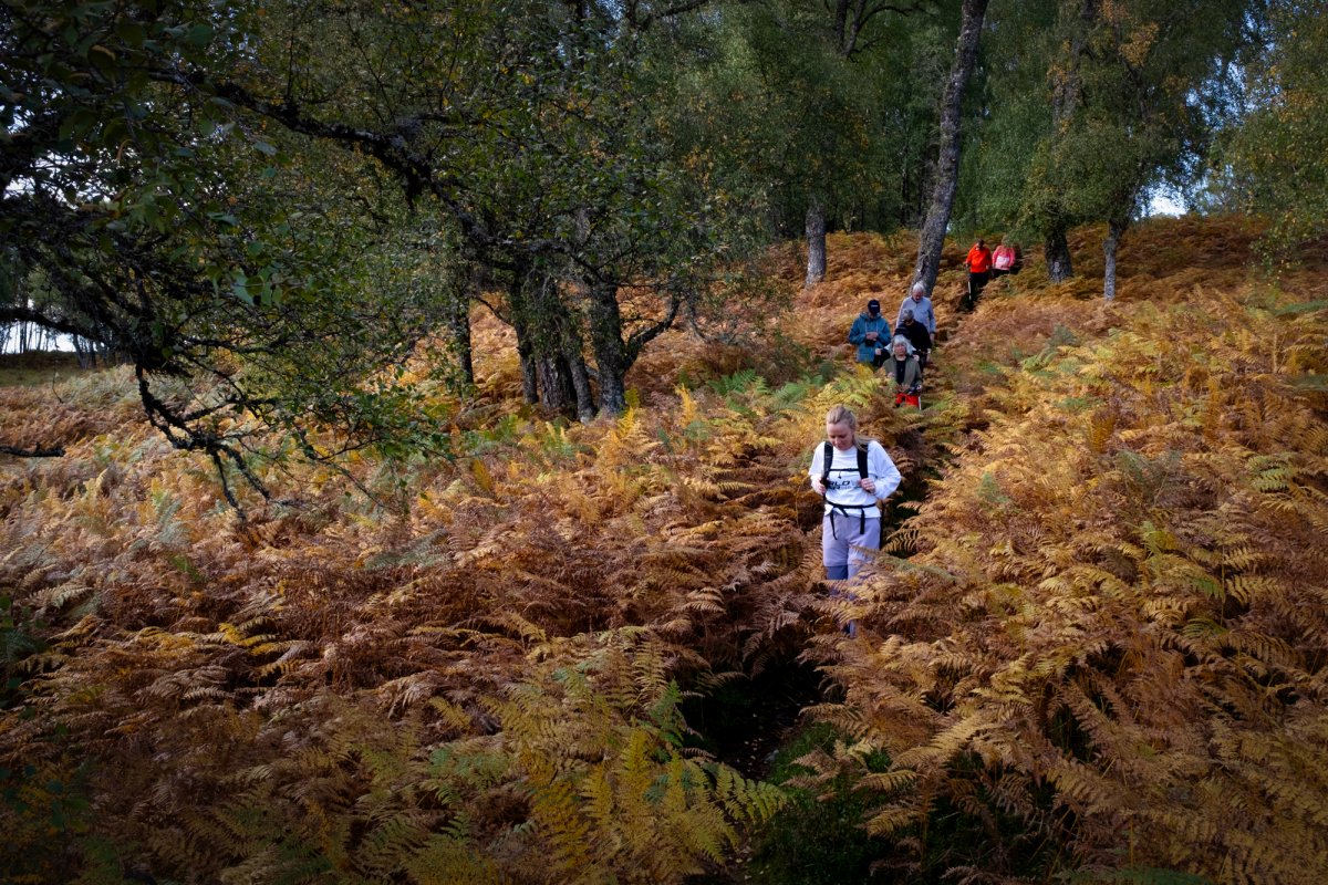 Pacotes de Viagem para Trekking na Escócia