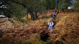 Pacotes de Viagem para Trekking na Escócia