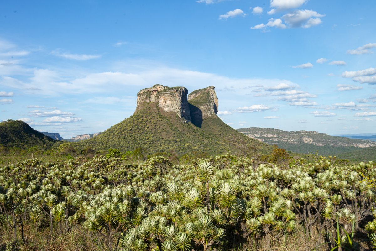 Pacotes de Viagem para o Chapada Diamantina