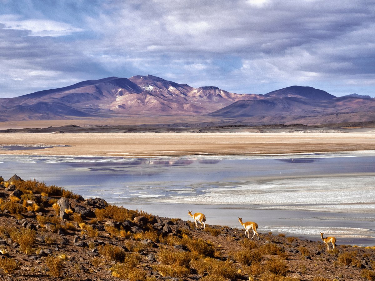 Pacotes de Viagem para o Deserto de Atacama