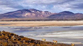 Pacotes de Viagem para o Deserto de Atacama