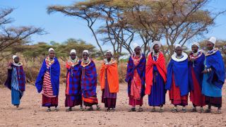 Pacotes de Viagem para Safari na Tanzânia