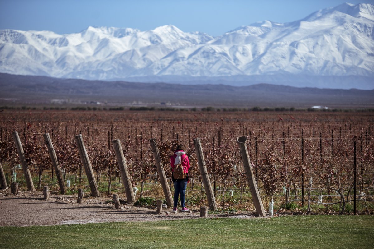 Pacotes de Viagem para Mendoza