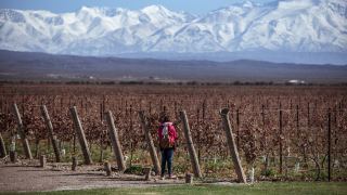 Pacotes de Viagem para Mendoza
