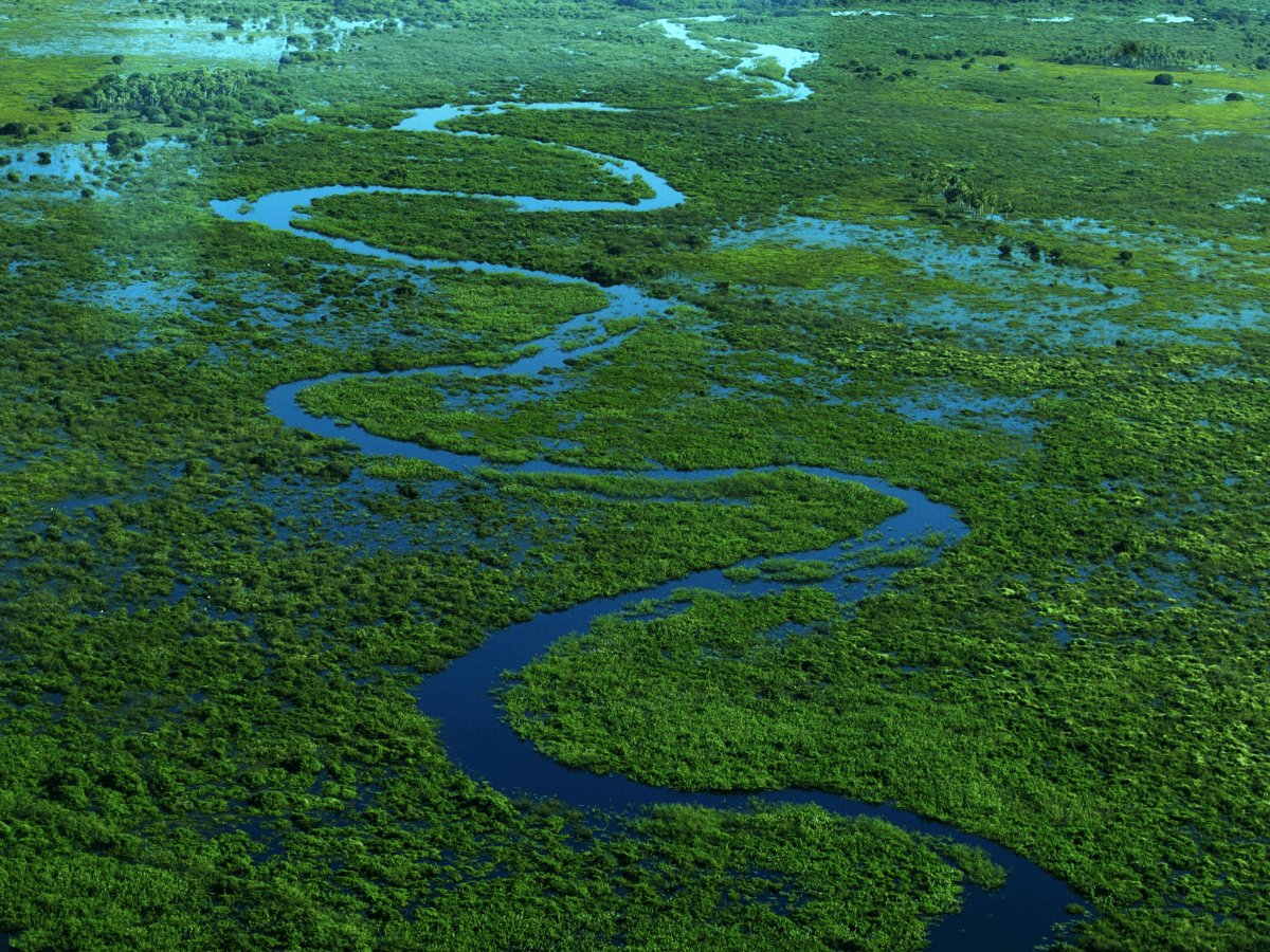 Pacotes de Viagem para o Pantanal
