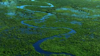 Pacotes de Viagem para o Pantanal