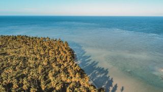 Pacotes de Viagem para a Ilha de Boipeba Bahia