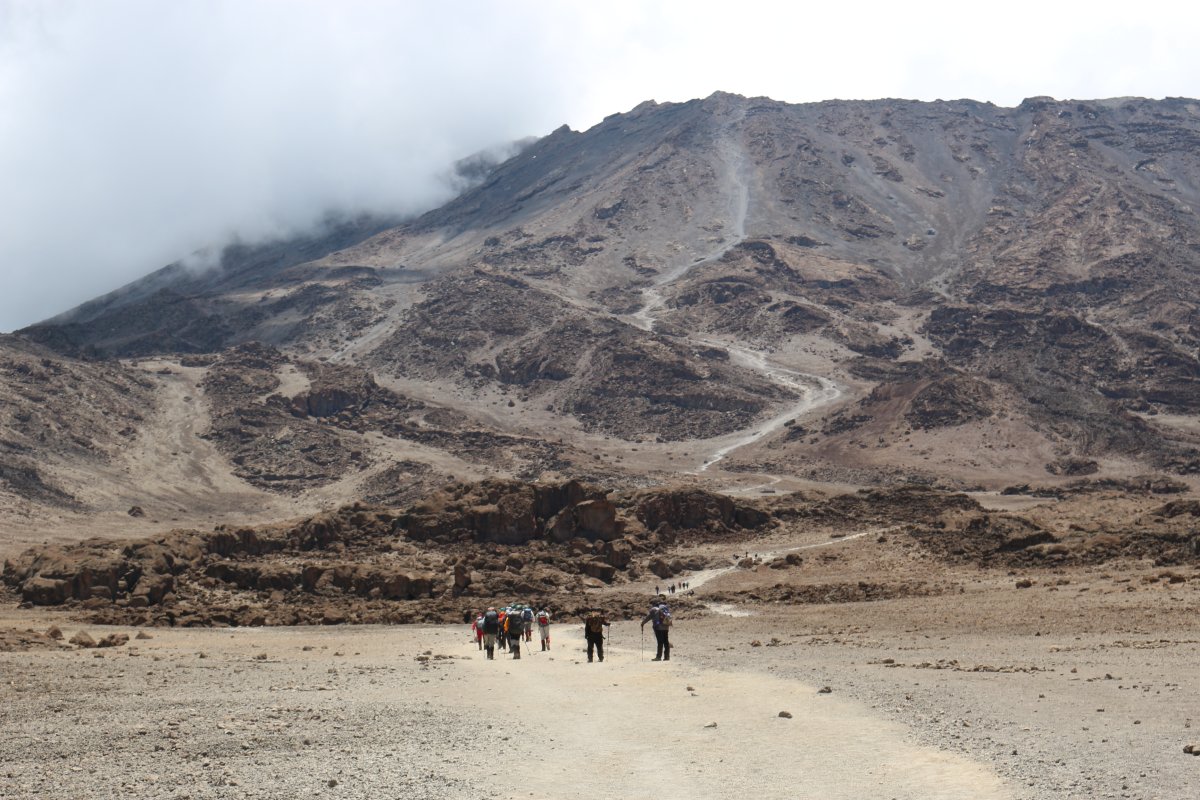 Pacotes de Viagem para a Expedição Kilimanjaro na Tanzânia